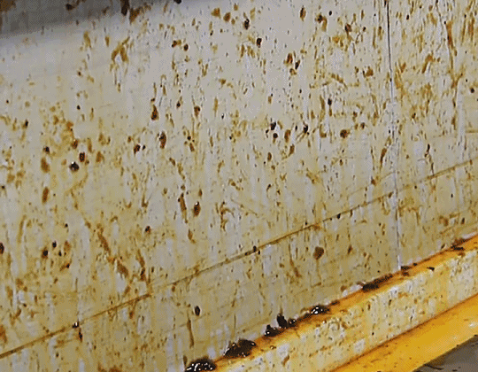 4df8a9d8509e7c9cb5ddb0c6047761b3.gif